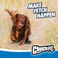 CHUCKIT ULTRA BAL SMALL 5X5X5 CM 2 ST - thumbnail