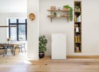 Gorenje R492PW koelkast Vrijstaand 133 l E Wit - thumbnail