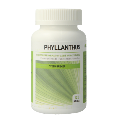 Ayurveda Health Phyllanthus niruri 120 Tabletten Ayurveda Health Phyllanthus niruri 120 Tabletten