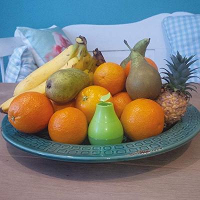 HG Fruitvliegjes Navulling