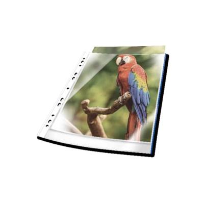 Durable Showtassen PREMIUM DIN A4 Polypropyleen Blauw (helder) 265506 25 stuk(s)