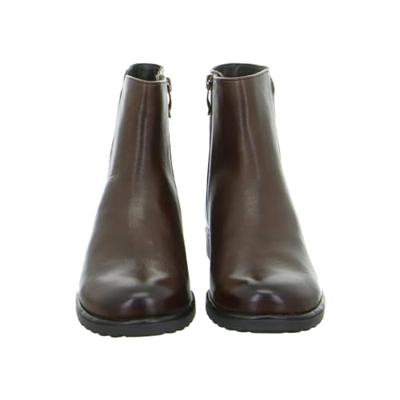 Ara 1239502 - alle Ara 1239502 - alle