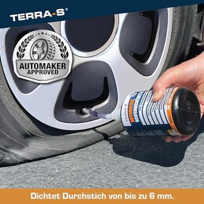 AUTOSTYLING SEEHASE Seehase bandenreparatieset "terra s" terra s tire tensioner se with compressors
