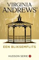 Een bliksemflits (Paperback) - thumbnail