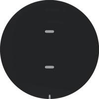 Berker afdekking 1V tbv tastsensor R1-R3 zwart 75161865 - thumbnail