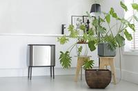 Brabantia 316081 vuilnisbak 33 l Rechthoekig Roestvrijstaal Zwart, Roestvrijstaal - thumbnail