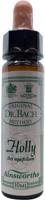 Ainsworths Holly Bach 10 Milliliter - thumbnail