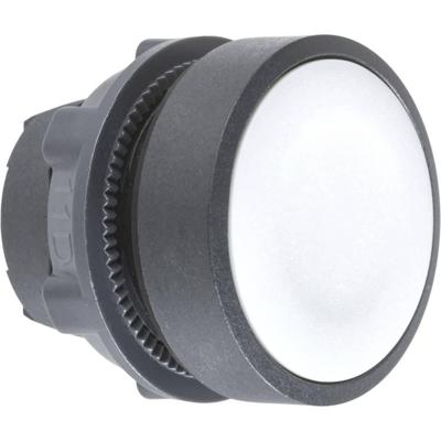 Schneider Electric ZB5AA8 ZB5AA8 Frontelement voor druktoets 1 knop Druk-ontgrendeling 1 stuk(s) Schneider Electric ZB5AA8 ZB5AA8 Frontelement voor druktoets 1 knop Druk-ontgrendeling 1 stuk(s)