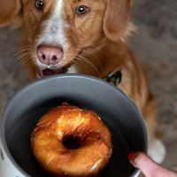 Nobby STARSNACK Barbecue Chicken Donut ca. 5,0 cm, 3 stuks, (3 x 110g) - thumbnail
