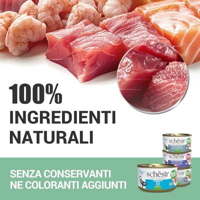 Schesir kip (jelly) natvoer kat (zakjes) 1 doos (12 x 70 g)