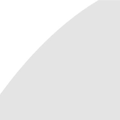 VidaXL Spiegel 80x40 cm glas VidaXL Spiegel 80x40 cm glas