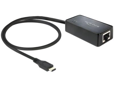 Delock USB-C, RJ45 Adapterkabel [1x USB-C stekker - 1x RJ45-bus] 62642