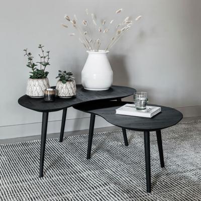 DTP Home Organische Salontafel 'Organus' Teakhout, Set van 2 stuks, kleur Zwart