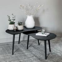 DTP Home Organische Salontafel 'Organus' Teakhout, Set van 2 stuks, kleur Zwart - thumbnail