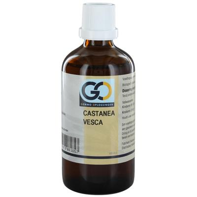 GO Castanea vesca bio 100 Milliliter