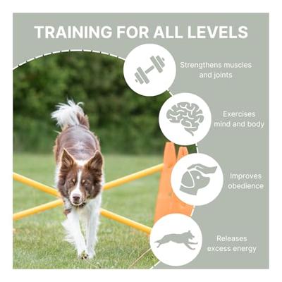 Trixie dog activity hordenset - thumbnail
