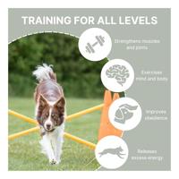 TRIXIE Set van 3 obstakelactiviteiten - Ø 23 × 30 cm - 78 cm - Oranje en geel - Voor hond - thumbnail