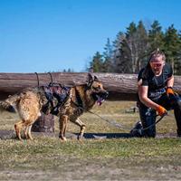 Non-stop dogwear® Hondentuig Rock Harness Long, zwart/oranje, Maat: XS - thumbnail