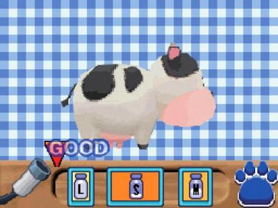 Harvest Moon - Mein Inselparadies: Nintendo