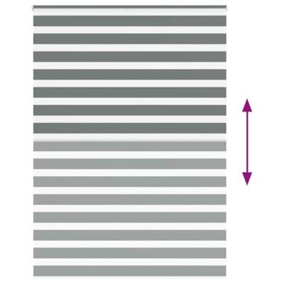 VidaXL Zebra rolgordijn 160x200 cm stofbreedte 155,9 cm donkergrijs VidaXL Zebra rolgordijn 160x200 cm stofbreedte 155,9 cm donkergrijs