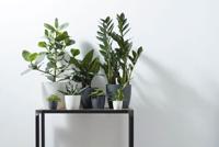 Bloempot Brussels rond 12,5 cm antraciet elho - Elho - thumbnail