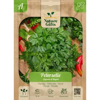 Peterselie gigante di napoli Peterselie gigante di napoli