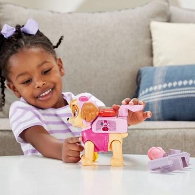 VTech Paw patrol pup skye interactief