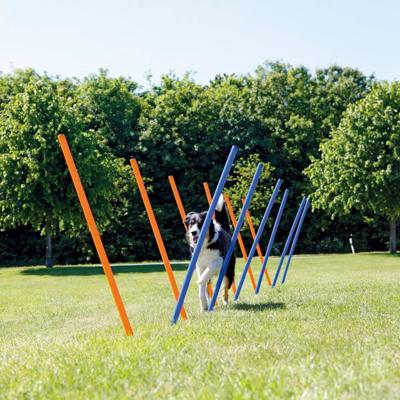 TRIXIE Agility-Slalomstangen Fun Agility, blauw/oranje