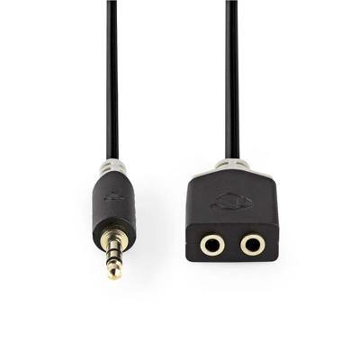 Nedis CABW22100AT02 Stereo Audiokabel 3,5 Mm Male - 2x 3,5 Mm Female 0,2 M Antraciet Nedis CABW22100AT02 Stereo Audiokabel 3,5 Mm Male - 2x 3,5 Mm Female 0,2 M Antraciet