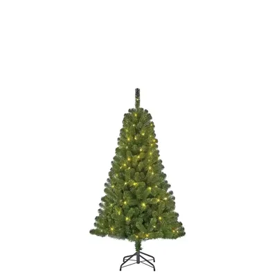Black Box Kerstboom Charlton met led groen h120 x d76cm