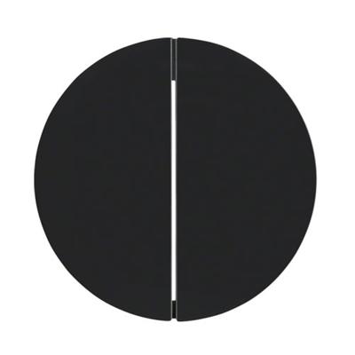 Berker Drukknop 2-voudig r1/r3 zwart 85142131