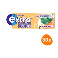 Wrigley's - Extra Professional Fresh Melon Mint - 30x 10 stuks - thumbnail