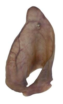 PETSNACK VARKENSOREN PETSNACK VARKENSOREN