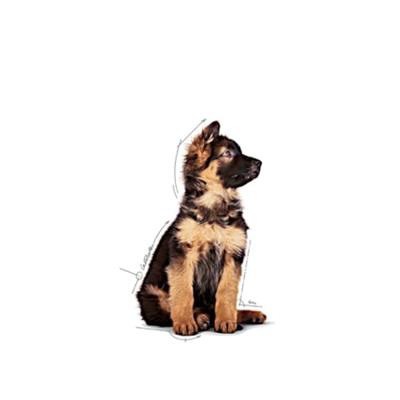 Royal Canin Maxi Puppy hondenvoer Natvoer (10x140g) - thumbnail