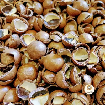 Macadamia doppen 20 liter Macadamia doppen 20 liter