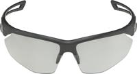 Alpina Nylos HR - Sports Glasses - thumbnail