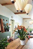 LECHUZA Plantenbak ORCHIDEA ALL-IN-ONE Mat wit - thumbnail