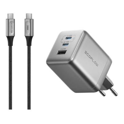 EcoFlow RAPID Pro Charger 100W with GaN (3 port)