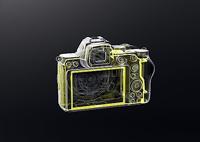 Nikon Z5 + 24-50mm F/4-6.3 - thumbnail