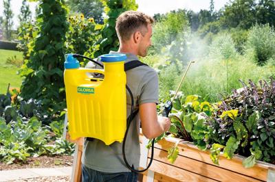 Gloria rugspuit Hobby 12 liter - Meuwissen agro