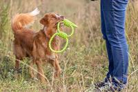 Trixie aquatoy touw trekspeeltje ringen polyester geel / groen - thumbnail