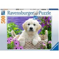 Ravensburger Schattige Golden Retriever - thumbnail