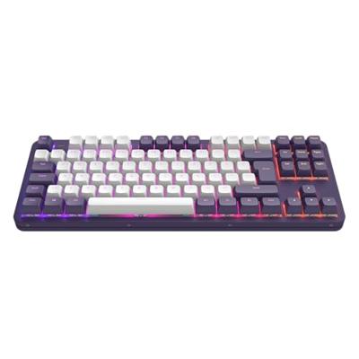 Dark Project Aluminium paars/wit (DE) [ISO] - Mechanisch gaming-toetsenbord, USB-bekabeld, meertalige keycaps, RGB, G3MS saffier, afdichtingshouder, ingevette stabilisatoren, half baluminium, TKL