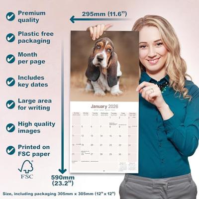 Basset Hound Kalender 2026 Basset Hound Kalender 2026