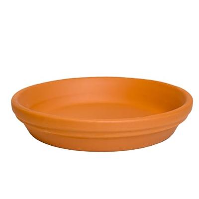 Terraliet schotel 42x6cm terracotta