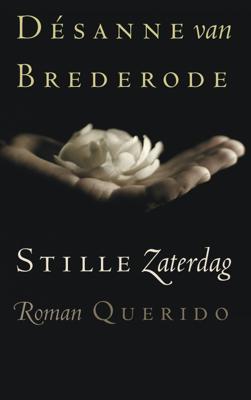 Stille zaterdag - Désanne van Brederode - ebook