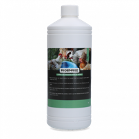 Vorstvrij voor kippen - thumbnail