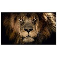Schilderij Leeuw - 70x118 cm - thumbnail