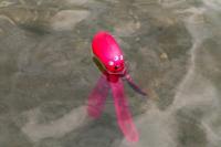 Dog Comets Alien Octo Pink M - thumbnail