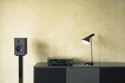 Project: Primary E Platenspeler - Zwart Project: Primary E Platenspeler - Zwart